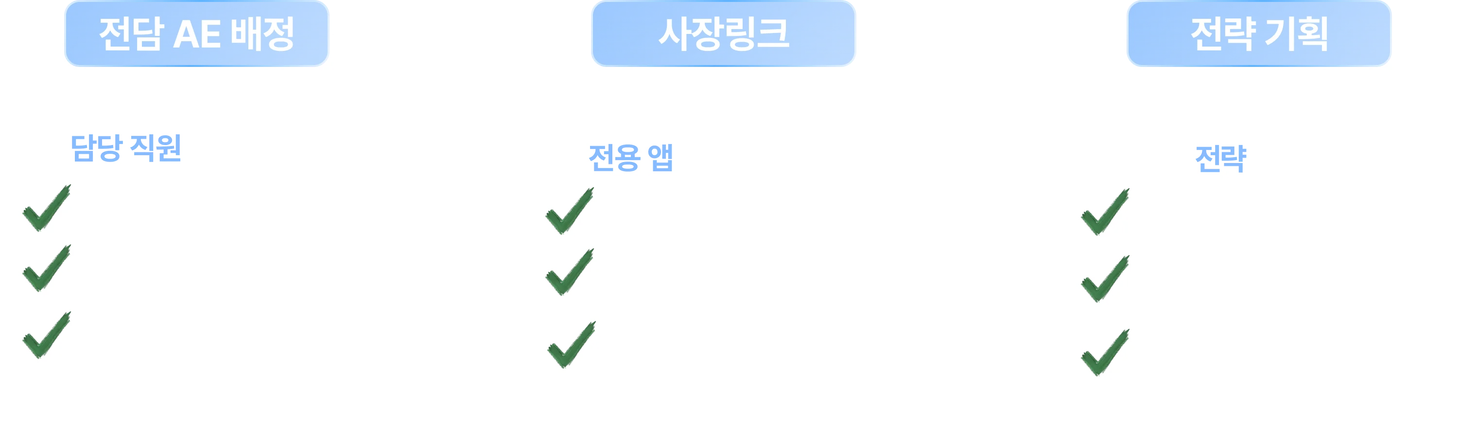 C-LSM 차별점: 진단 AT 배정, 사장링크, 전략 기획