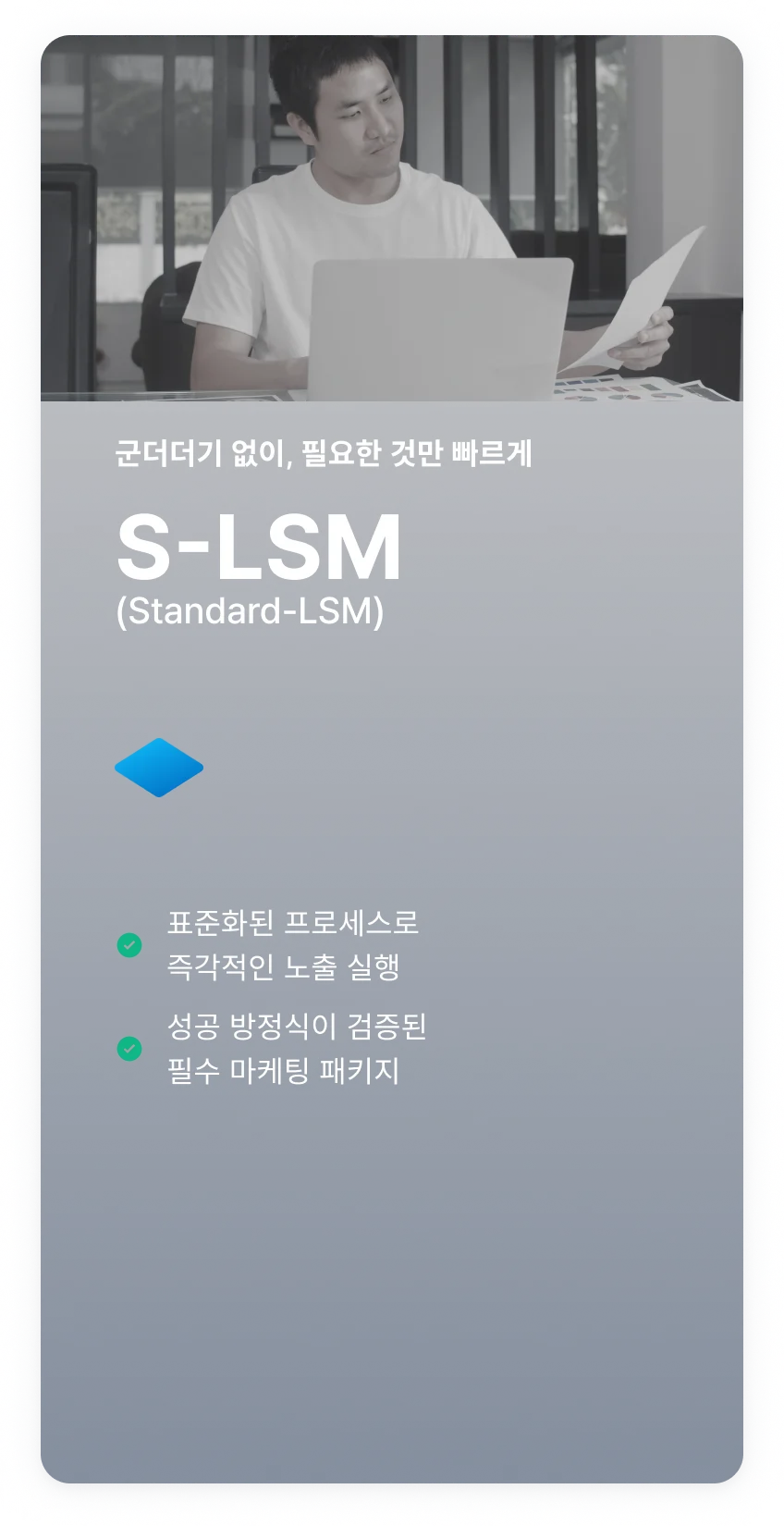 S-LSM (Standard LSM) - 기반이 되는 전략 및 실행 시스템