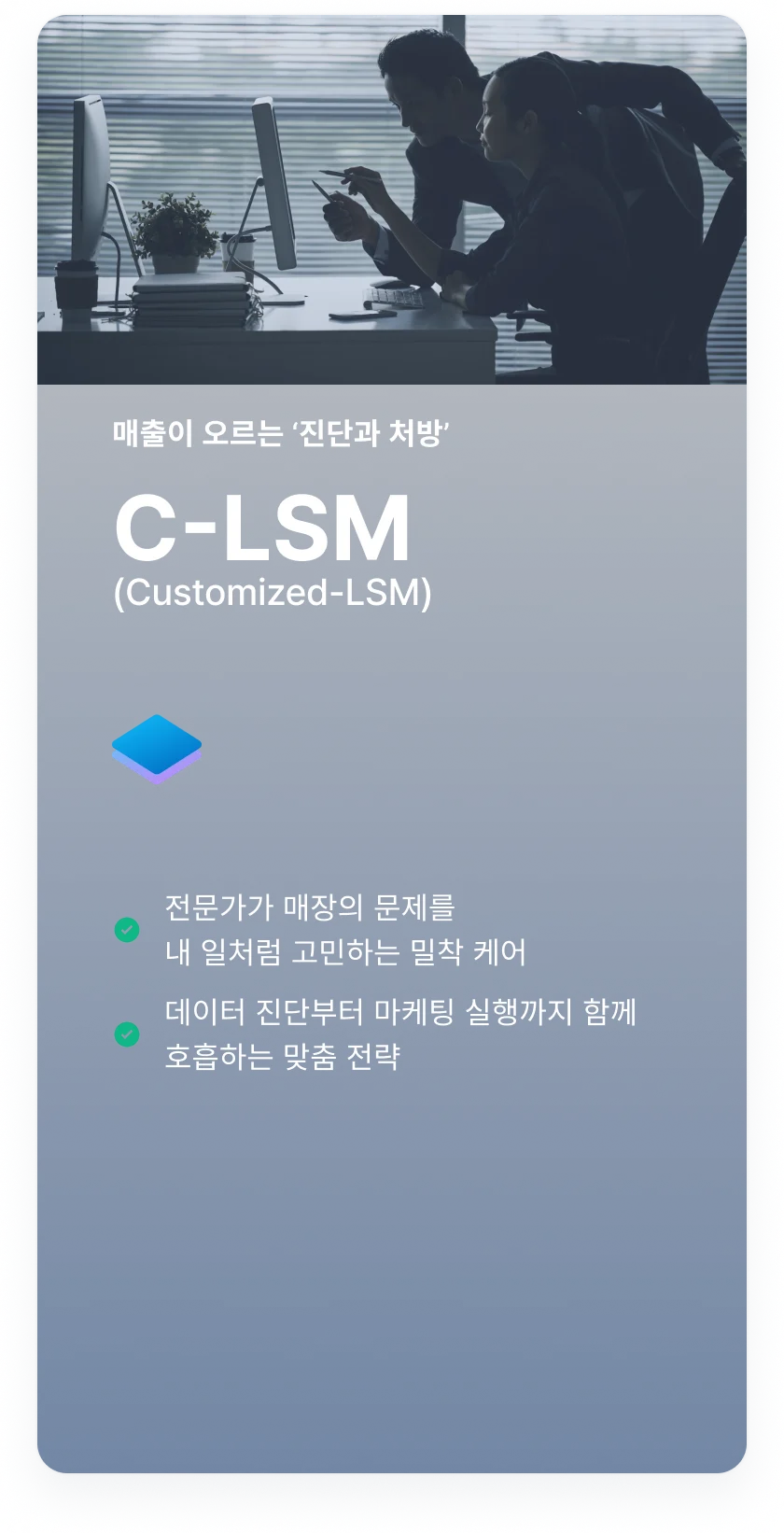 C-LSM (Customized LSM) - 맞춤형 전략