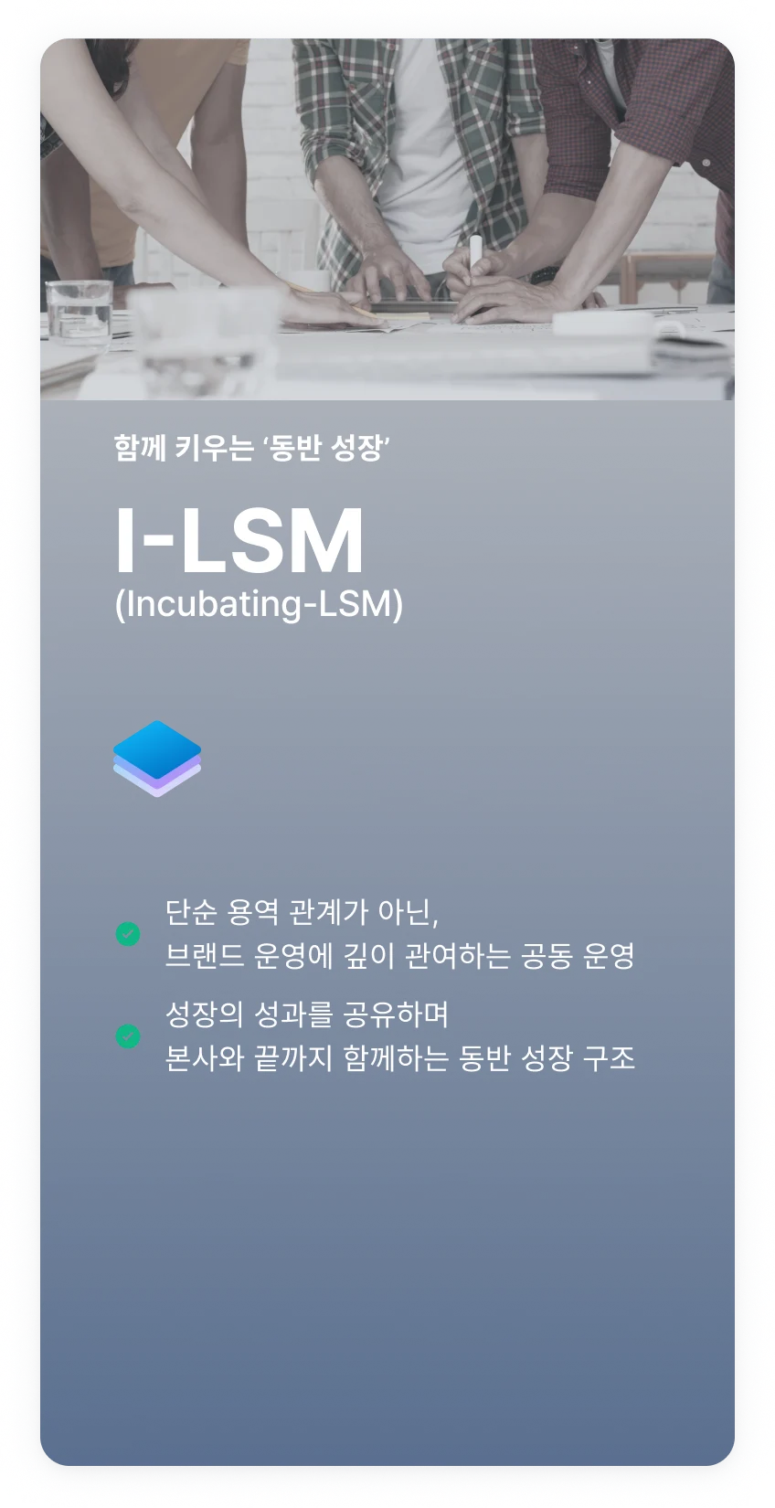 I-LSM (Innovation LSM) - 혁신적 전략