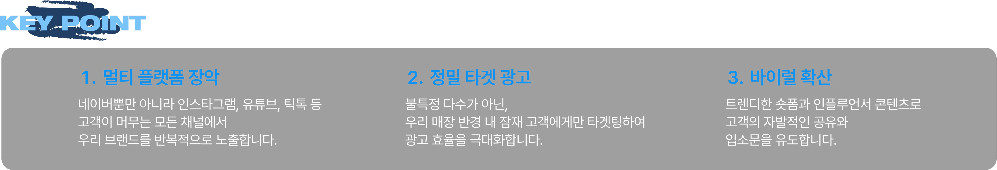 멀티 플랫폼 장악, 정밀 타겟 광고, 바이럴 확산