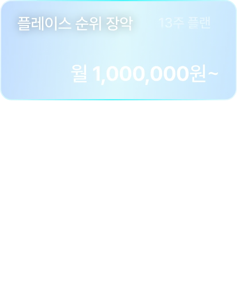 플레이스 순위 장악 - 월 1,000,000원~