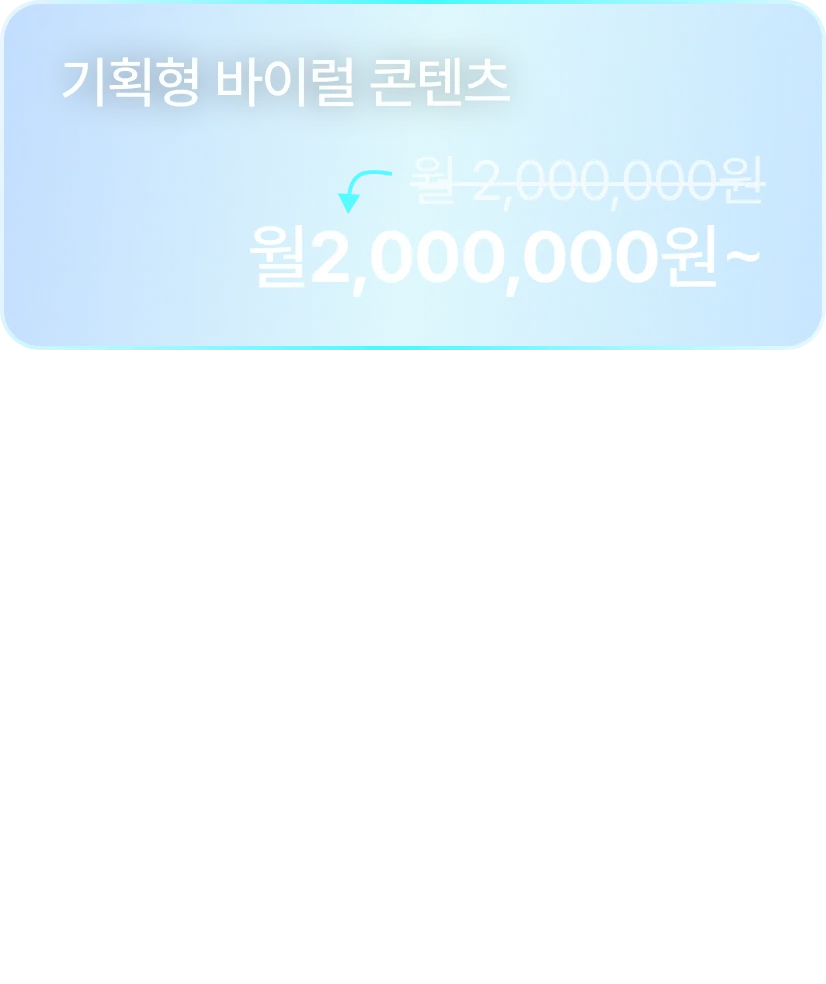 기획형 바이럴 콘텐츠 - 월 2,000,000원~