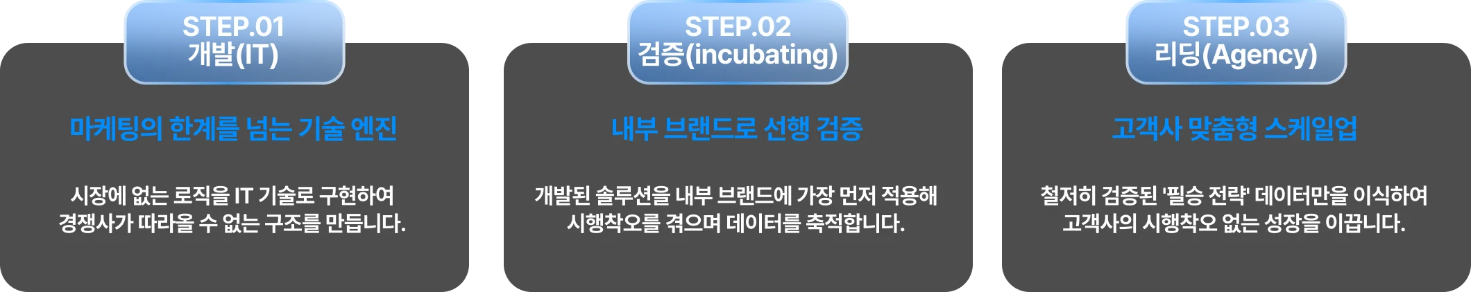 직접 키워본 자만이 성장을 리딩합니다 - 실전 마케팅 기술로 증명하는 독보적 구조